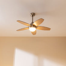 Carica l'immagine nel visualizzatore di Gallery, Ventilatore Da Soffitto Energysilence Aero 495-05