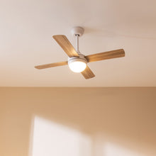 Carica l'immagine nel visualizzatore di Gallery, Ventilatore Da Soffitto Energysilence Aero 4250 Dc Fresh-05
