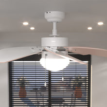 Carica l'immagine nel visualizzatore di Gallery, Ventilatore da soffitto EnergySilence Aero 3600 Vision Nude