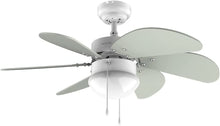 Carica l'immagine nel visualizzatore di Gallery, Ventilatore da soffitto EnergySilence Aero 3600 Vision Mint