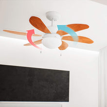 Carica l'immagine nel visualizzatore di Gallery, Ventilatore da soffitto EnergySilence Aero 360