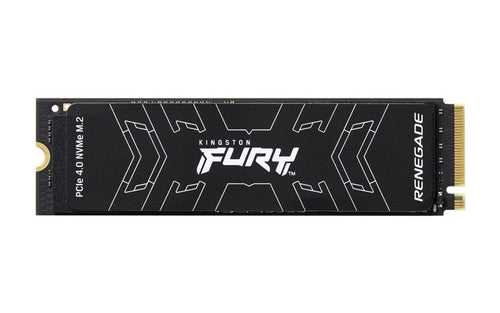 Hard Disk Ssd 2 Tb Fury Renegade M.2 Nvme (Sfyrd/2000G)