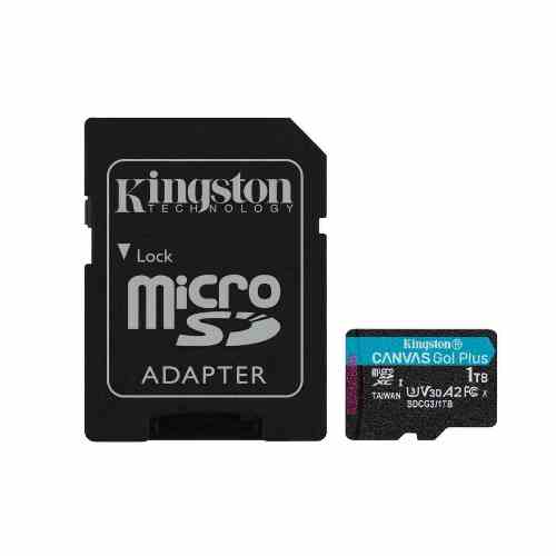 Trans Flash 1 Tb Canvas Go Plus (Sdcg3/1Tb) Class 10 (Con Adattatore)