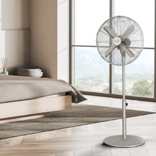Carica l&#39;immagine nel visualizzatore di Gallery, Ventilatore A Piantana Energysilence 610 Steelstyle-02
