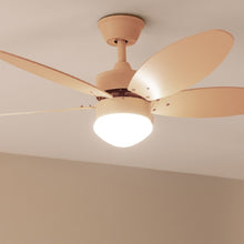 Carica l&#39;immagine nel visualizzatore di Gallery, Energysilence Aero 4260 Full Orange-02

