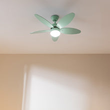Carica l&#39;immagine nel visualizzatore di Gallery, Energysilence Aero 4260 Full Mint-02
