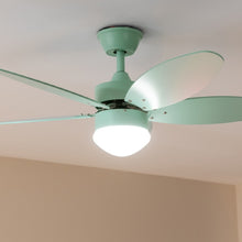 Carica l&#39;immagine nel visualizzatore di Gallery, Energysilence Aero 4260 Full Mint-05
