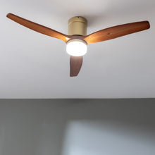 Carica l&#39;immagine nel visualizzatore di Gallery, Energysilence Aero 5600 Aqua Golddarkwood Connected-02
