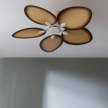 Carica l&#39;immagine nel visualizzatore di Gallery, Energysilence Aero 5200 Palm-02
