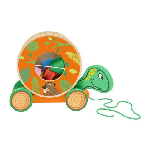 Sevi Wood Eco Smart - Tartaruga Con Incastri