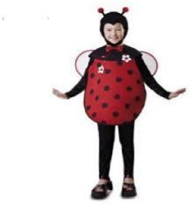 Costume Bambini Coccinella Bimbo/A 10/12