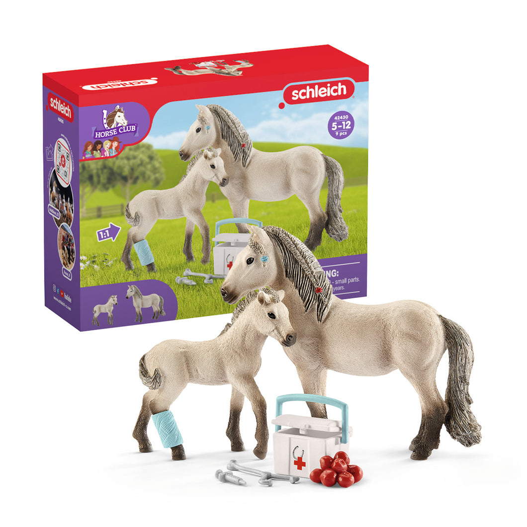 42430 - Schleich-s - Kiit Pronto Soccorso di Hannah