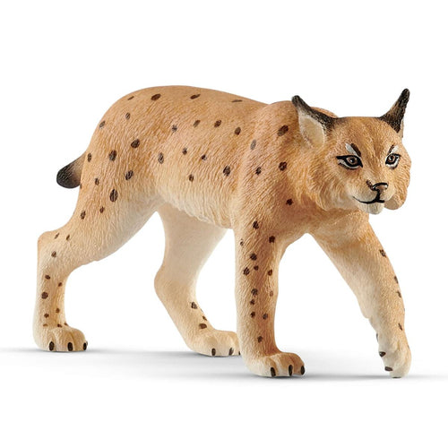 Wild Life Schliech-S 14822 Lince