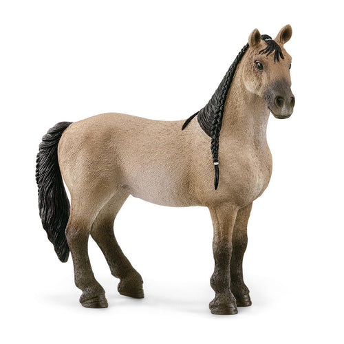 Horse Club Schliech-S 13948 Criollo Definitivo Mare