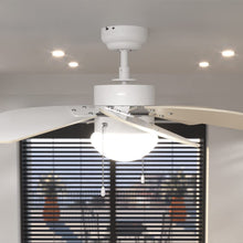 Carica l&#39;immagine nel visualizzatore di Gallery, Ventilatore da soffitto EnergySIlence Aero 3600 Vision SunLight
